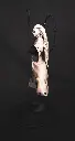 20250308_203505 (1).webp